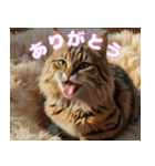 ねこスタンプ2025（個別スタンプ：5）