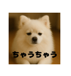 白 ポメラニアン 日常 関西弁（個別スタンプ：8）