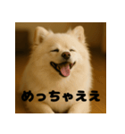 白 ポメラニアン 日常 関西弁（個別スタンプ：10）