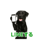 リアルブラックラブ(日常)（個別スタンプ：9）