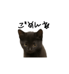 黒猫ちゃんの声（個別スタンプ：7）