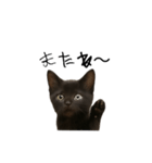 黒猫ちゃんの声（個別スタンプ：15）