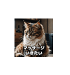にゃんこと過ごす毎日（個別スタンプ：3）