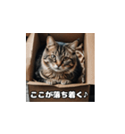 にゃんこと過ごす毎日（個別スタンプ：9）