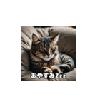 にゃんこと過ごす毎日（個別スタンプ：12）