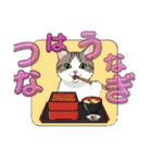 猫のなつの風物詩（個別スタンプ：6）