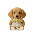 いろんな犬と人（個別スタンプ：6）