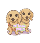 いろんな犬と人（個別スタンプ：13）