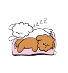 ビションフリーゼのぽんぽん2（個別スタンプ：10）