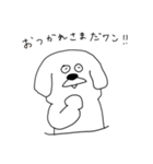 わんこと猫（個別スタンプ：5）