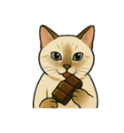 食べるねこ（個別スタンプ：13）