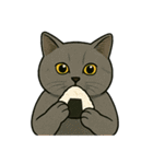 食べるねこ（個別スタンプ：14）
