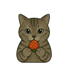 食べるねこ（個別スタンプ：28）
