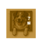 犬のトリックアート2(中型犬)（個別スタンプ：10）