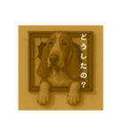 犬のトリックアート2(中型犬)（個別スタンプ：11）