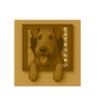 犬のトリックアート2(中型犬)（個別スタンプ：13）