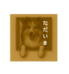 犬のトリックアート2(中型犬)（個別スタンプ：14）