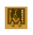 犬のトリックアート2(中型犬)（個別スタンプ：16）
