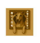 犬のトリックアート2(中型犬)（個別スタンプ：17）