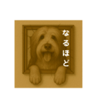 犬のトリックアート2(中型犬)（個別スタンプ：19）