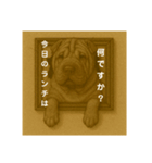 犬のトリックアート2(中型犬)（個別スタンプ：21）