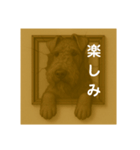 犬のトリックアート2(中型犬)（個別スタンプ：26）
