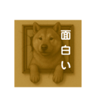 犬のトリックアート2(中型犬)（個別スタンプ：27）