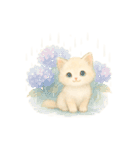 ふわふわ猫タイム（個別スタンプ：31）