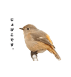 じょびすた（個別スタンプ：2）