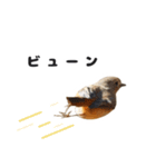 じょびすた（個別スタンプ：14）