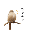 じょびすた（個別スタンプ：15）
