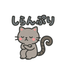 しっぽぐるぐるネコの日常スタンプ（個別スタンプ：20）
