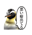 全否定するコウテイペンギン（個別スタンプ：4）