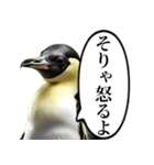全否定するコウテイペンギン（個別スタンプ：6）