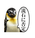 全否定するコウテイペンギン（個別スタンプ：8）