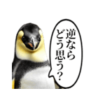 全否定するコウテイペンギン（個別スタンプ：10）