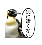 全否定するコウテイペンギン（個別スタンプ：12）