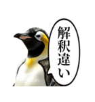 全否定するコウテイペンギン（個別スタンプ：17）