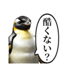全否定するコウテイペンギン（個別スタンプ：18）
