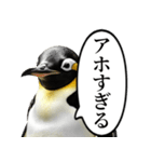 全否定するコウテイペンギン（個別スタンプ：19）