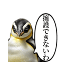 全否定するコウテイペンギン（個別スタンプ：20）