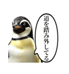 全否定するコウテイペンギン（個別スタンプ：21）