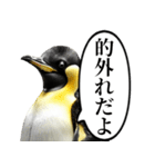 全否定するコウテイペンギン（個別スタンプ：22）