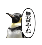 全否定するコウテイペンギン（個別スタンプ：24）