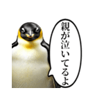 全否定するコウテイペンギン（個別スタンプ：26）
