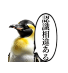 全否定するコウテイペンギン（個別スタンプ：27）