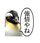 全否定するコウテイペンギン（個別スタンプ：29）