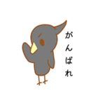 色々なインコちゃんスタンプ♡♡（個別スタンプ：15）