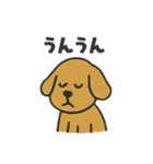 優しく伝わる 毎日のことばたち（個別スタンプ：1）