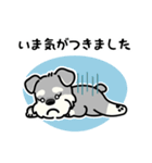 親に送る ゆるっと連絡スタンプ（個別スタンプ：13）